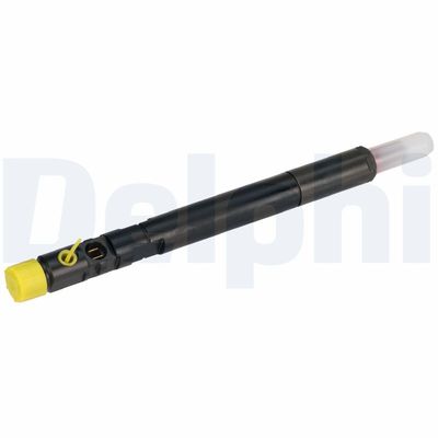 Delphi Fuel Injector R04201D-12B1