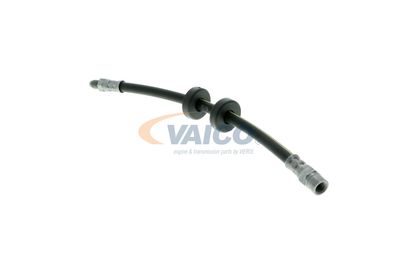 FURTUN FRANA VAICO V101043 17