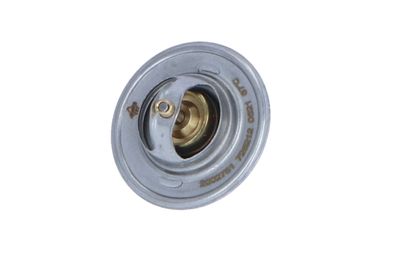 TERMOSTAT LICHID RACIRE NRF 725212 10