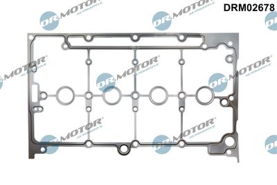 GARNITURA CAPAC SUPAPE Dr.Motor Automotive DRM02678