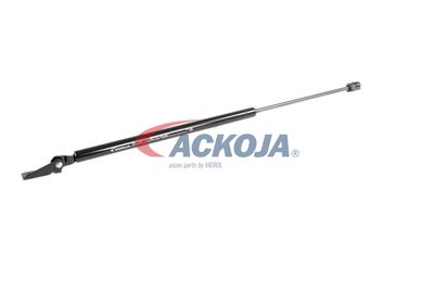 AMORTIZOR PORTBAGAJ ACKOJA A520066 55