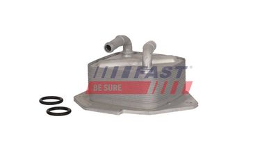 RADIATOR ULEI CUTIE VITEZE