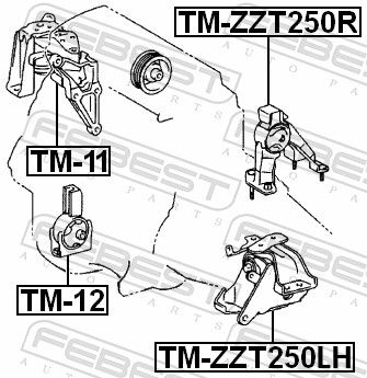 FEBEST - Uloženie motora TOYOTA , TM-ZZT250R