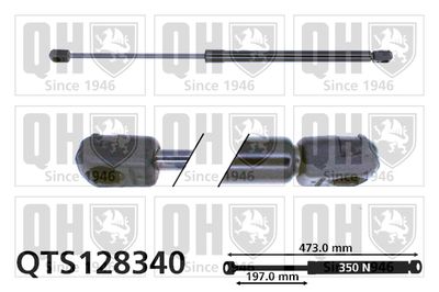 Газовая пружина, крышка багажник QUINTON HAZELL QTS128340 для FIAT BRAVO