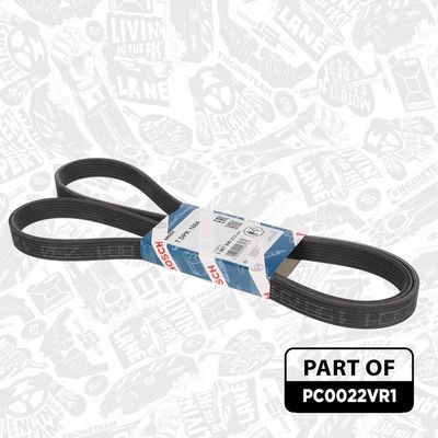 SET FULIE ARBORE COTIT ET ENGINETEAM PC0022VR1 6