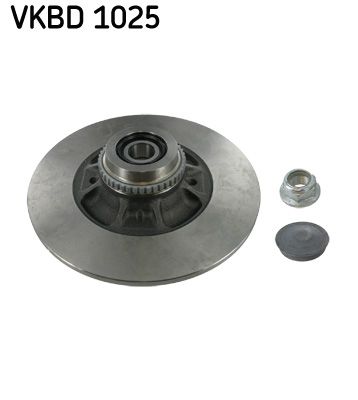 SKF VKBD 1025 Гальмівні диски 