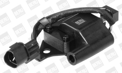 BorgWarner (BERU) Zündspule