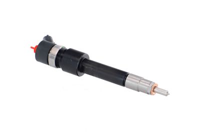 INJECTOR REMANTE 002003001133R 46