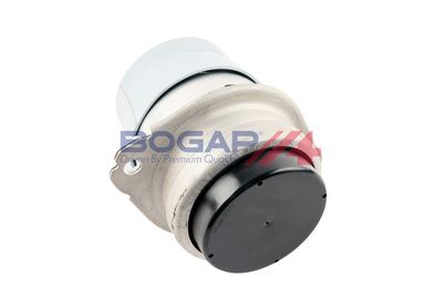 BOGAP Variklio montavimas