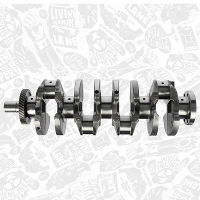 ARBORE COTIT ET ENGINETEAM HK0182 5