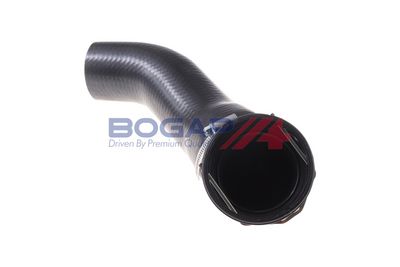 FURTUN EAR SUPRAALIMENTARE BOGAP B1711116 3
