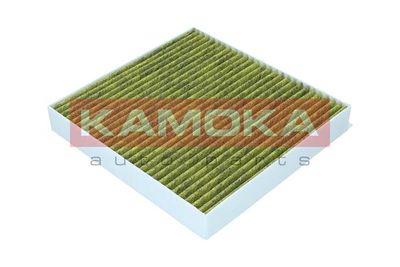 Filter, cabin air 6080114