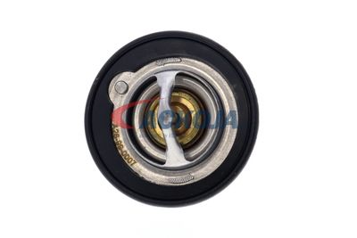 TERMOSTAT LICHID RACIRE ACKOJA A26990007 27