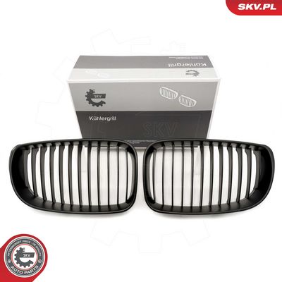 GRILA RADIATOR ESEN SKV 66SKV008 9