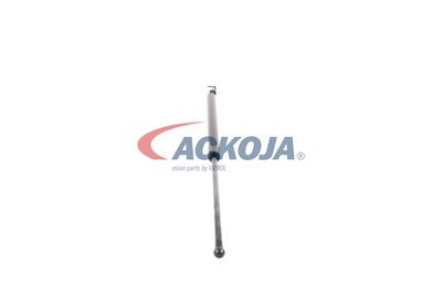 AMORTIZOR PORTBAGAJ ACKOJA A520063 25