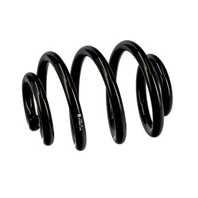 ARC SPIRAL EIBACH R10087 6