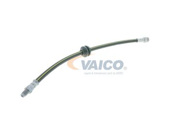 FURTUN FRANA VAICO V240954 44