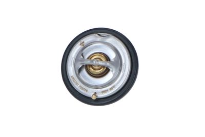 TERMOSTAT LICHID RACIRE NRF 725074 8