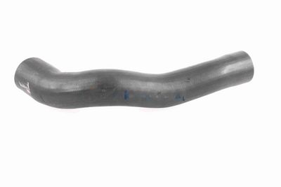 FURTUN EAR SUPRAALIMENTARE ACKOJA A379600 5