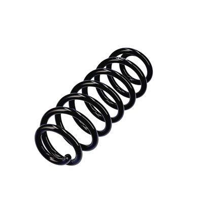 ARC SPIRAL EIBACH R13605 15