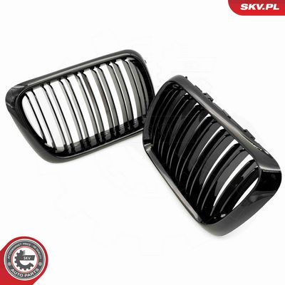 GRILA RADIATOR ESEN SKV 66SKV054 2