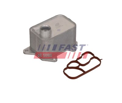 RADIATOR ULEI ULEI MOTOR FAST FT00665 7