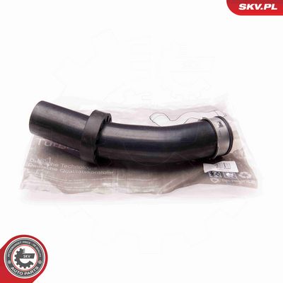 FURTUN EAR SUPRAALIMENTARE