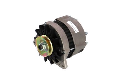 GENERATOR / ALTERNATOR REMANTE 011003000232R 65