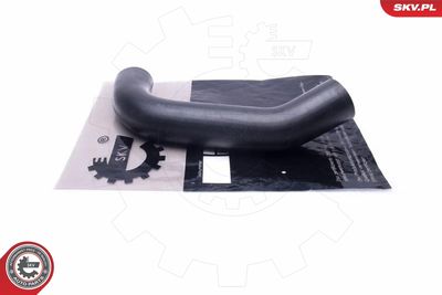 FURTUN EAR SUPRAALIMENTARE