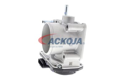 CARCASA CLAPETA ACKOJA A70810010 21