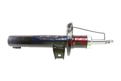 AMORTIZOR BOGAP A3410101 4