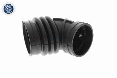 ANSAUGSCHLAUCH LUFTFILTER VAICO V201636 1
