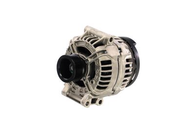 GENERATOR / ALTERNATOR REMANTE 011003000427R 65