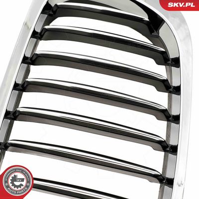 GRILA RADIATOR ESEN SKV 66SKV057 6