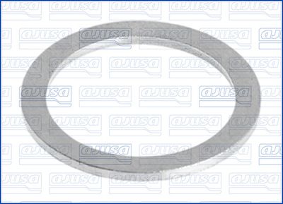 Seal Ring, oil drain plug 22008700