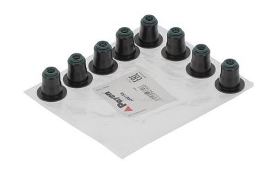 SET GARNITURI AX SUPAPE PAYEN HR5156 3