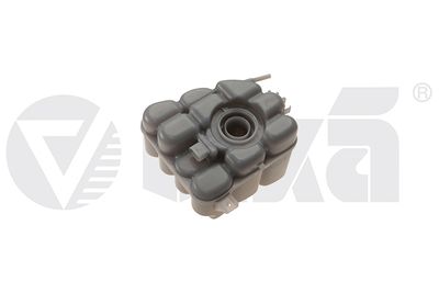 VAS DE EXPANSIUNE RACIRE