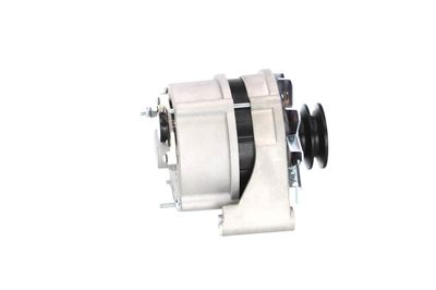 GENERATOR / ALTERNATOR REMANTE 011003000025R 45