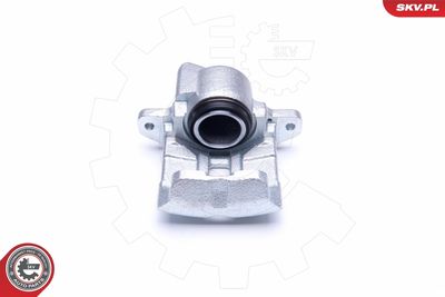 Brake Caliper 45SKV291