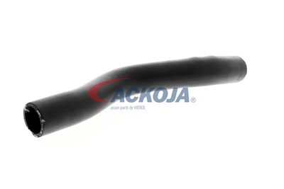 FURTUN RADIATOR ACKOJA A261604 30