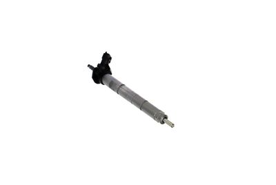 INJECTOR REMANTE 002003001368R 52
