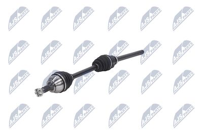 PLANETARA NTY NPWCT081 19