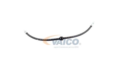 FURTUN FRANA VAICO V201909 34