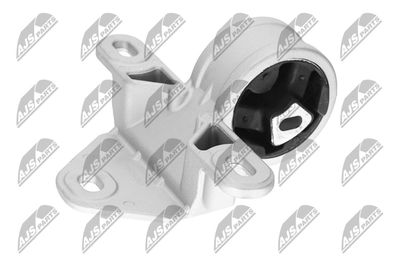 SUPORT MOTOR NTY ZPSCH001 22