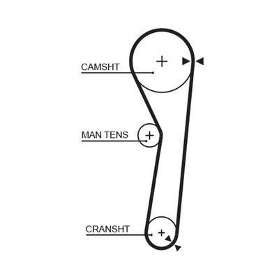 Timing Belt GATES 5316