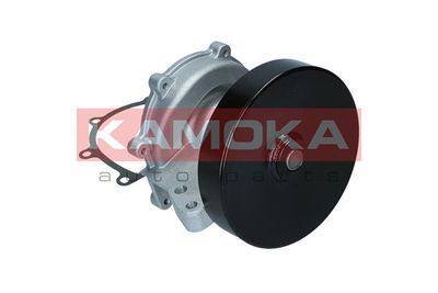 Water Pump, engine cooling T0247