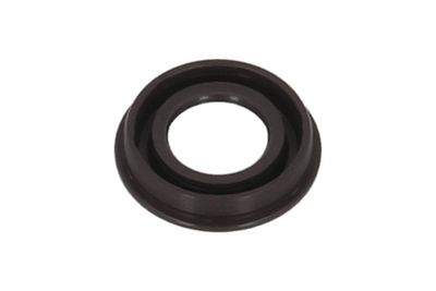 GARNITURA CAPAC SUPAPE