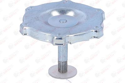 BUSON UMPLERE ULEI BIRTH 8081 12