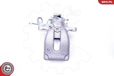 Brake Caliper 42SKV403