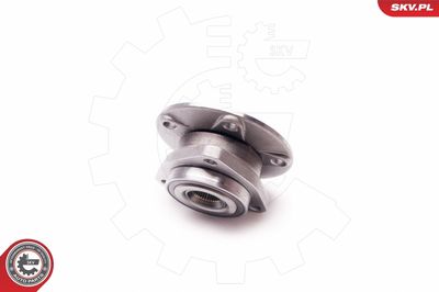 Wheel Bearing Kit 29SKV040